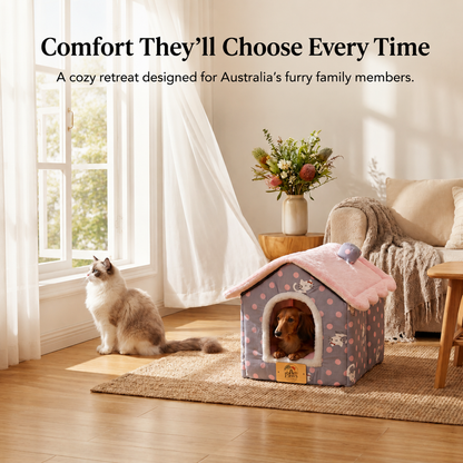 Paws pet home